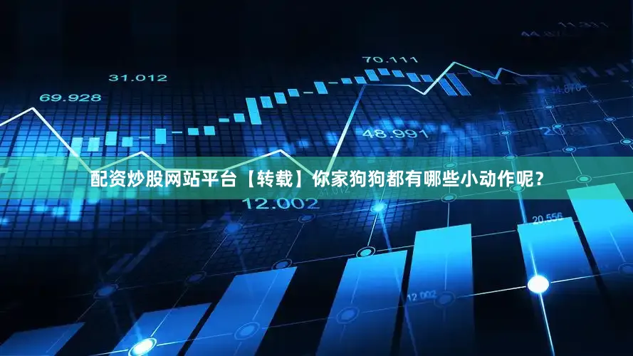 配资炒股网站平台【转载】你家狗狗都有哪些小动作呢？